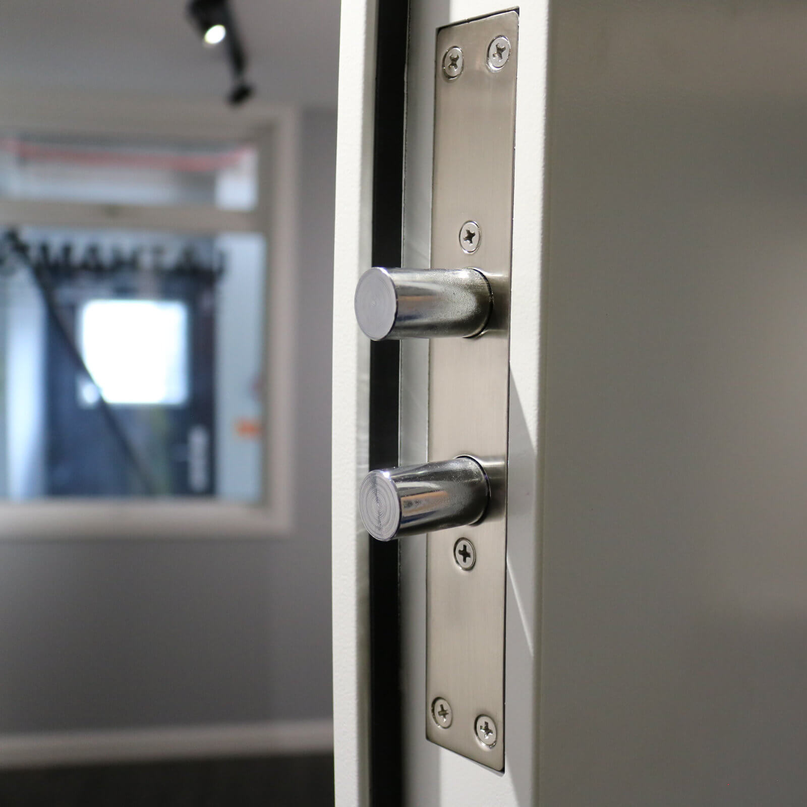 High Security 6 Panel Steel Door Latham S Steel Security Doors